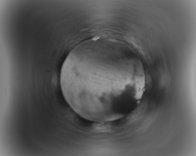 X0000092050331200709262014