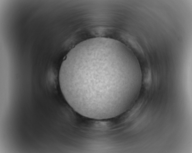 X0000092050332200709262014