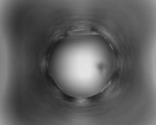 X0000092050333200709262014