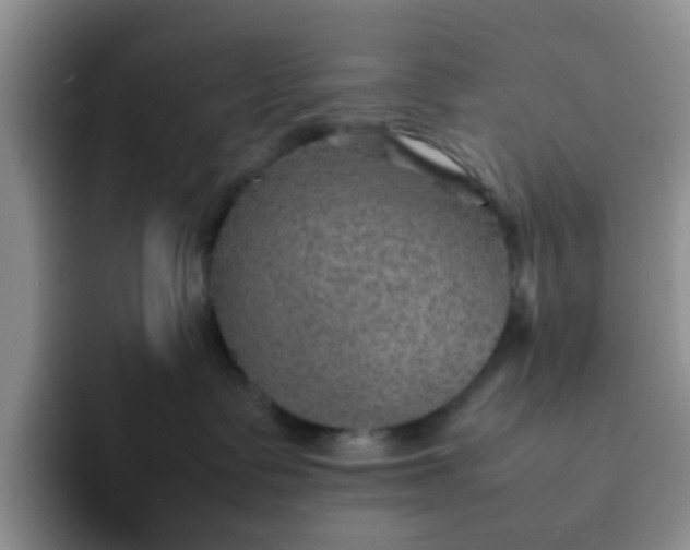 X0000092050335200709262014