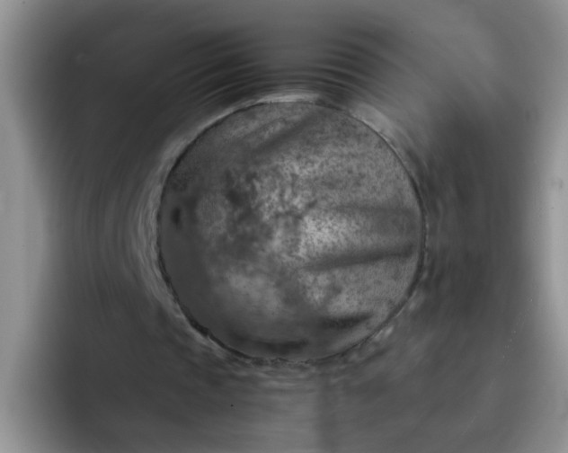 X0000092050337200709262013