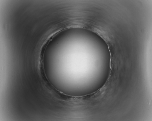 X0000092050338200709262013