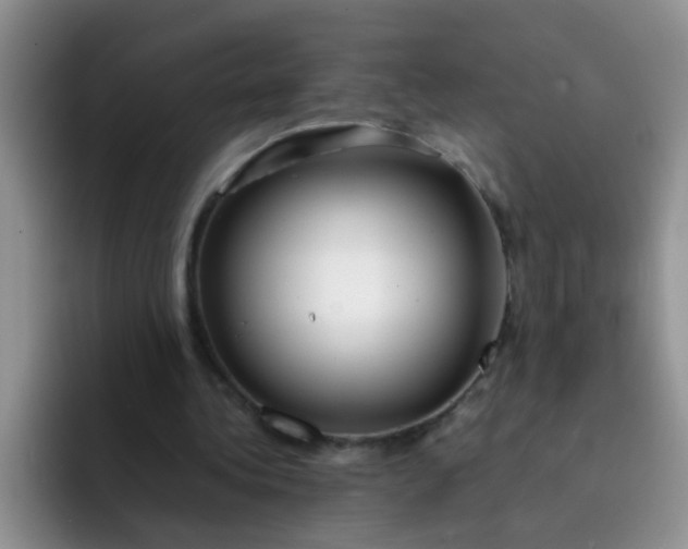 X0000092050340200709262013