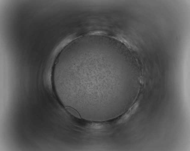 X0000092050341200709262013