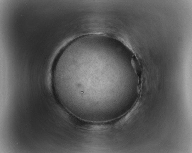 X0000092050342200709262013