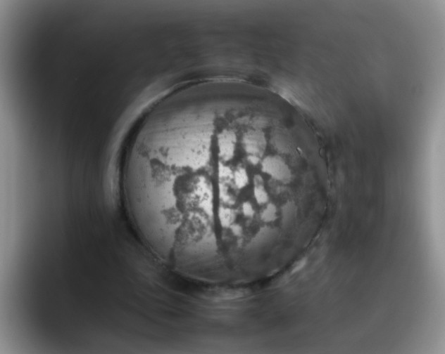 X0000092050343200709262013