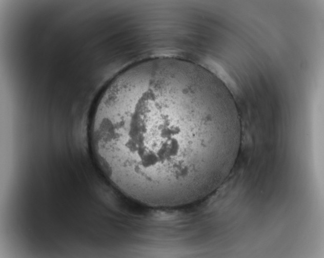 X0000092050346200709262013