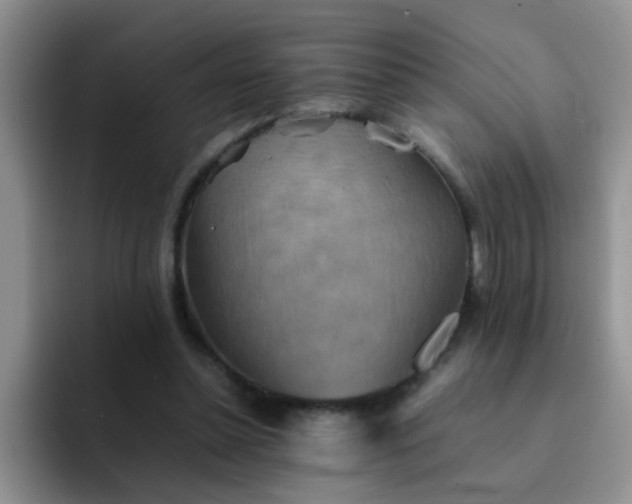 X0000092050348200709262014