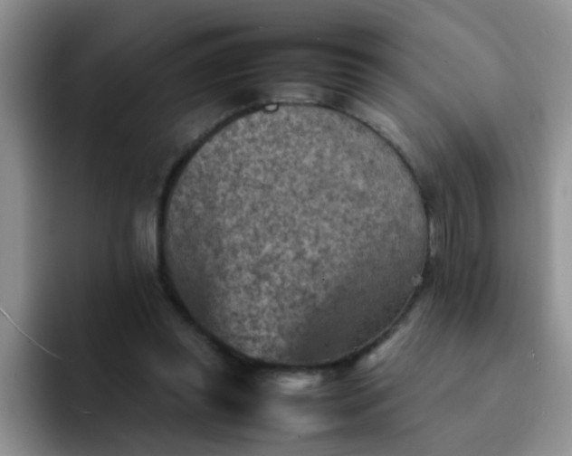 X0000092050349200709262014