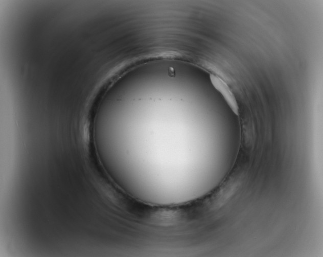 X0000092050350200709262014