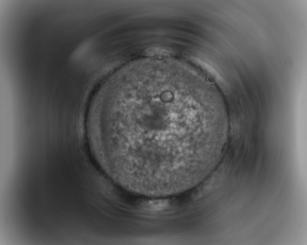 X0000092050353200709262014