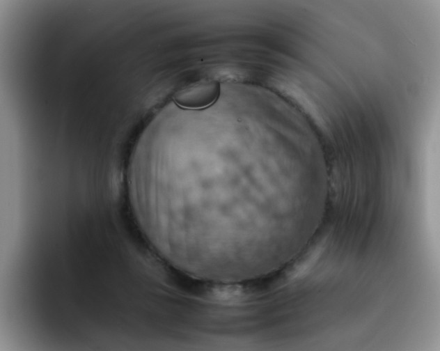 X0000092050355200709262014