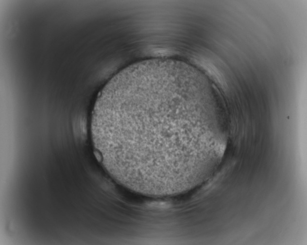 X0000092050358200709262014