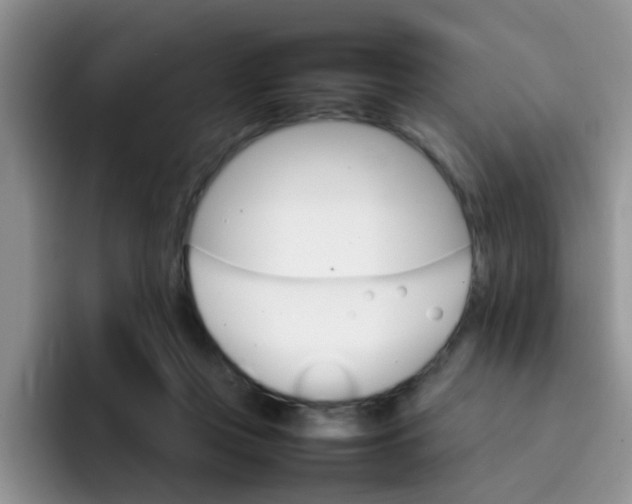 X0000092050359200709262014