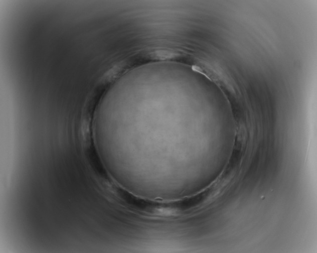 X0000092050360200709262014