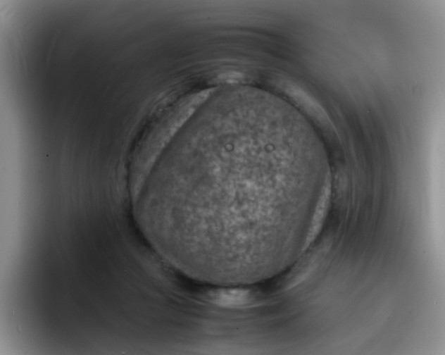 X0000092050361200709262014