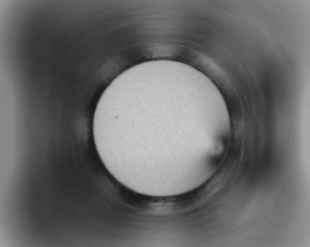 X0000092050362200709262014