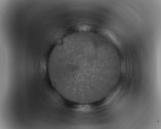 X0000092050363200709262014