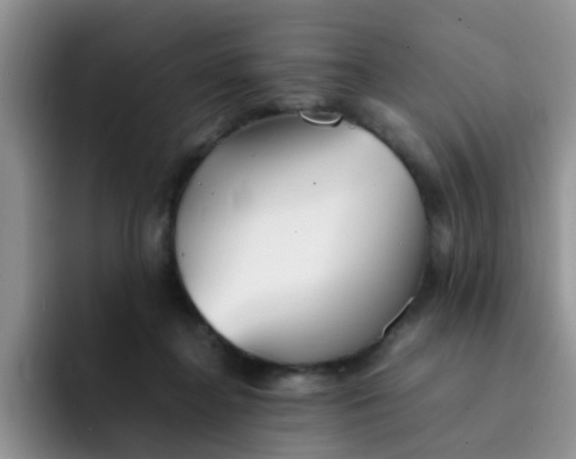 X0000092050364200709262014