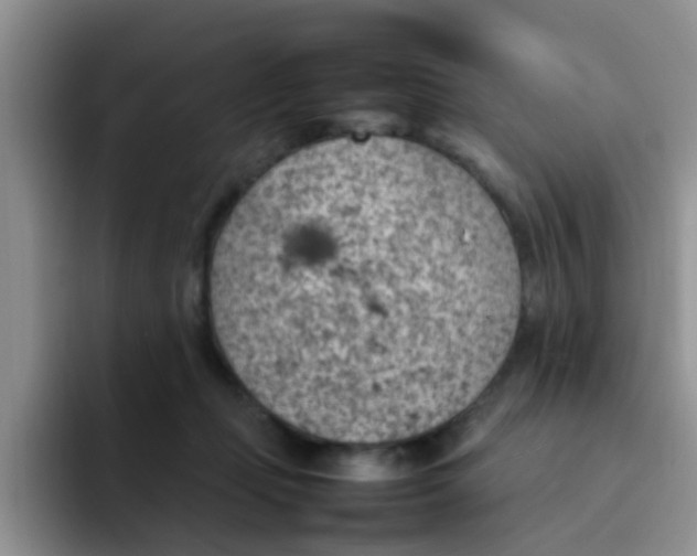 X0000092050365200709262014