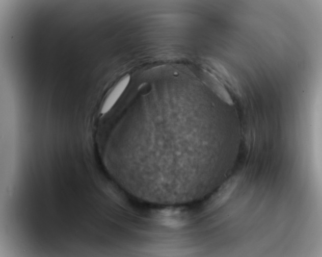 X0000092050366200709262014