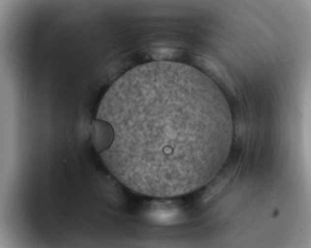 X0000092050367200709262014