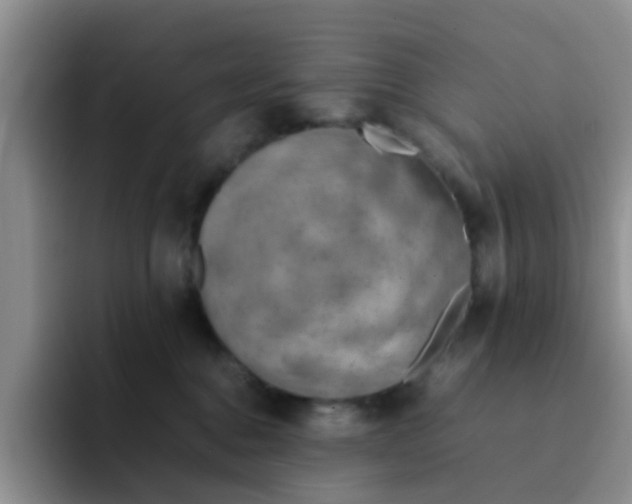 X0000092050376200709262014