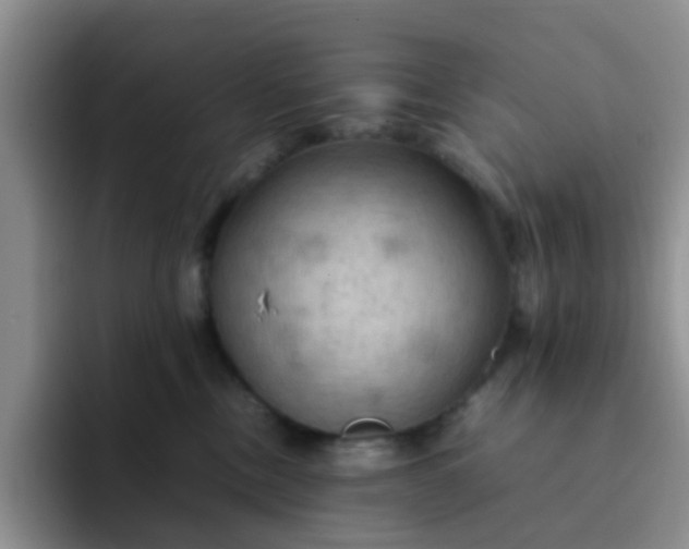 X0000092050378200709262014