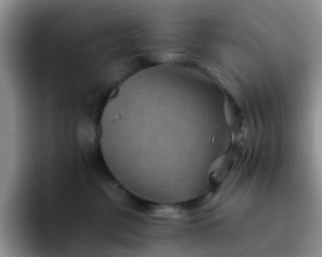 X0000092050380200709262014