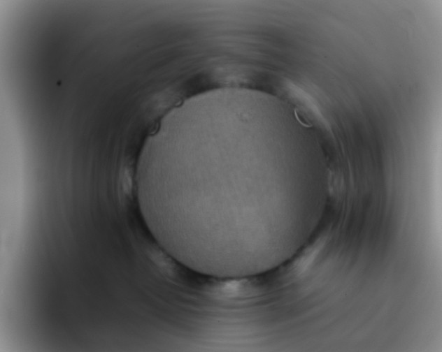 X0000092050382200709262014