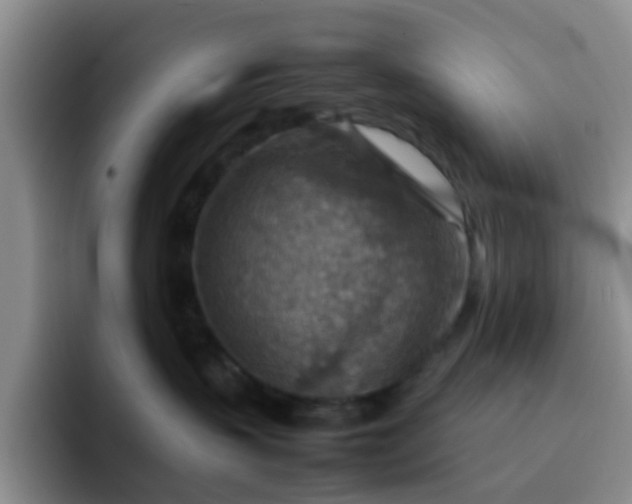 X0000092050383200709262014