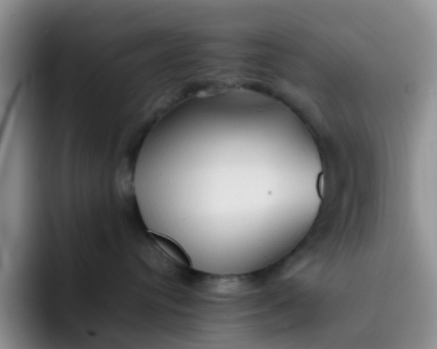 X0000092050384200709262014