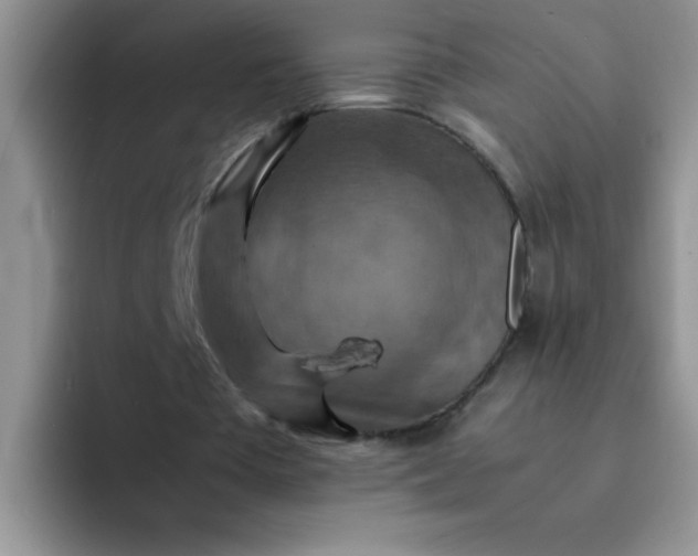 X0000092050385200709262013