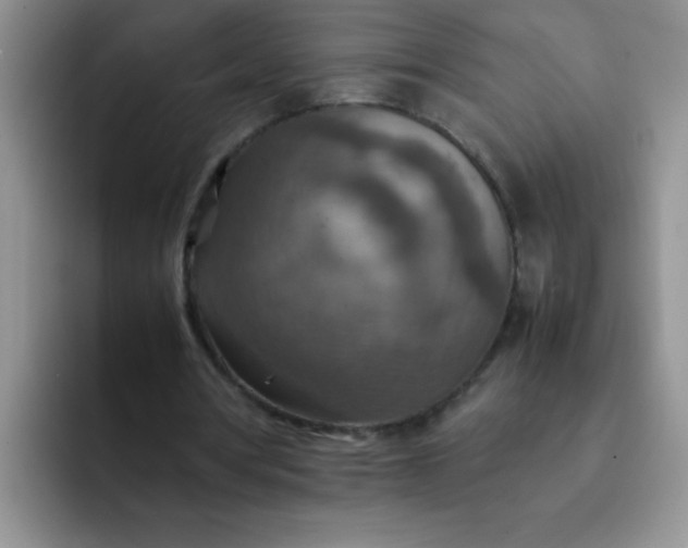 X0000092050386200709262013