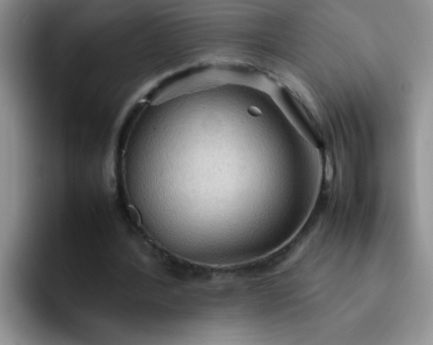 X0000092050388200709262013