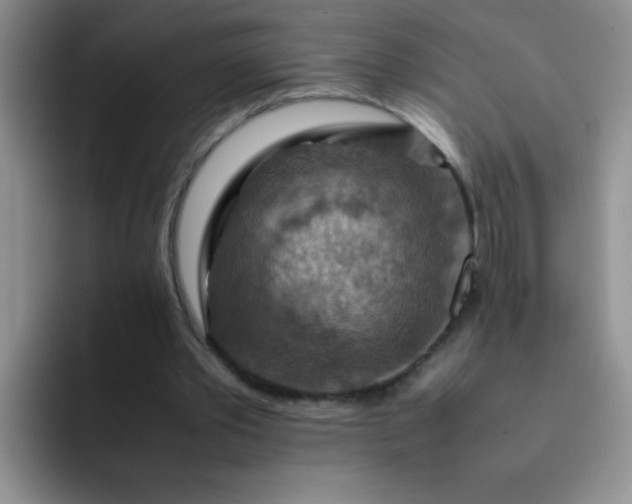 X0000092050389200709262013