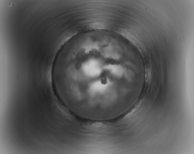 X0000092050390200709262013