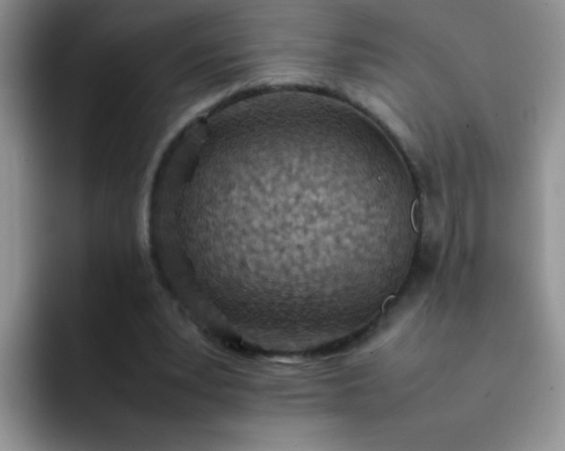 X0000092050391200709262013