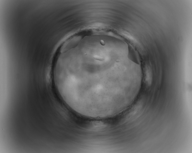 X0000092050392200709262013