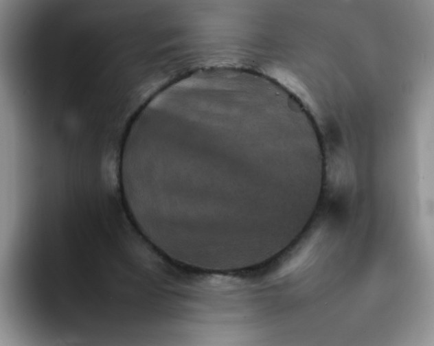 X0000092050393200709262013