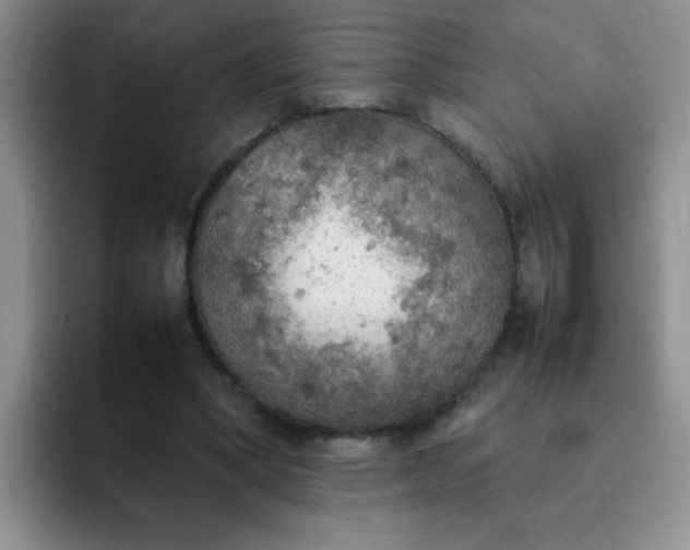 X0000092050394200709262013