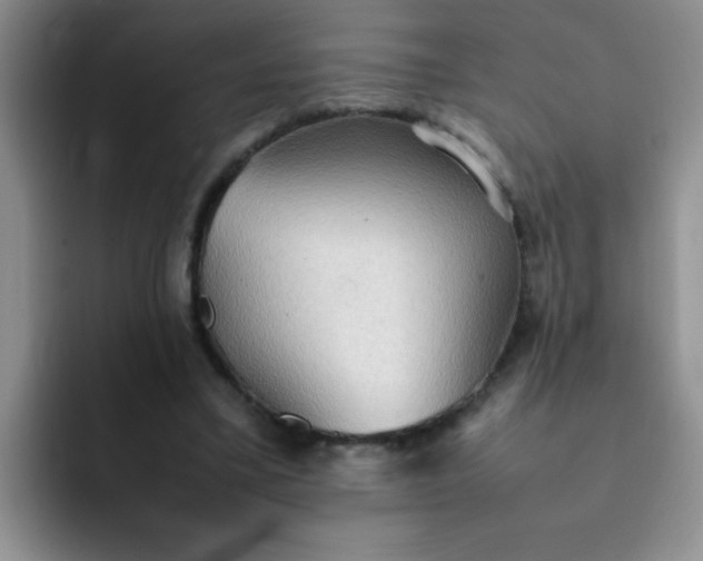 X0000092050395200709262013