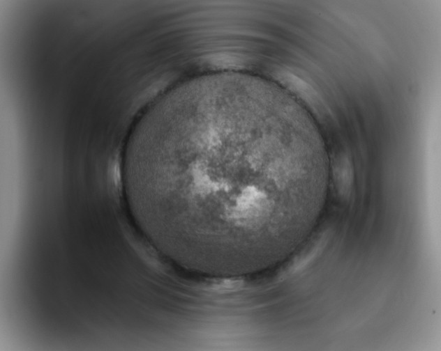 X0000092050398200709262013