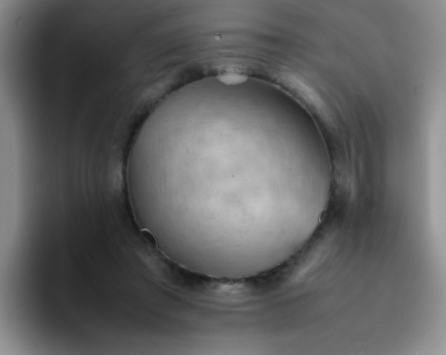 X0000092050401200709262013