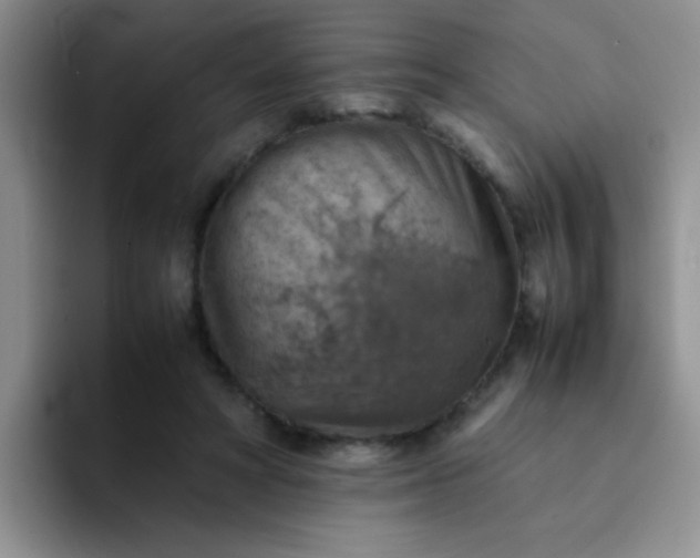 X0000092050402200709262013