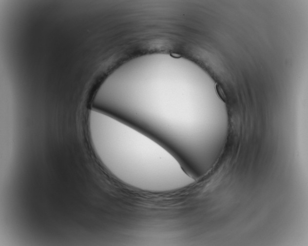 X0000092050403200709262013