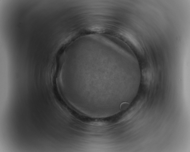 X0000092050404200709262013