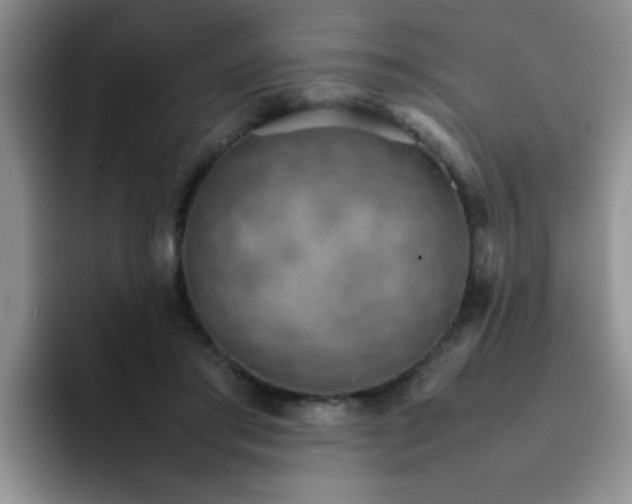 X0000092050405200709262013