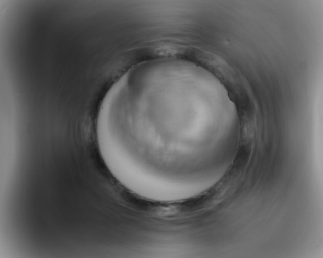 X0000092050411200709262013