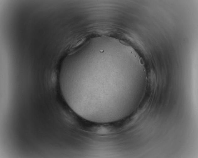 X0000092050412200709262013